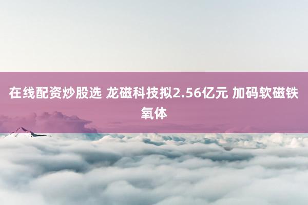 在线配资炒股选 龙磁科技拟2.56亿元 加码软磁铁氧体