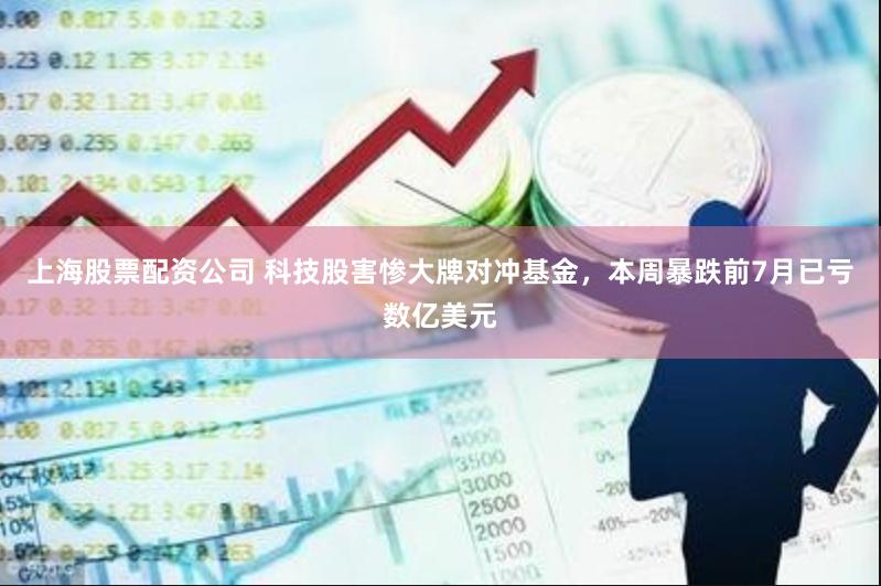 上海股票配资公司 科技股害惨大牌对冲基金，本周暴跌前7月已亏数亿美元