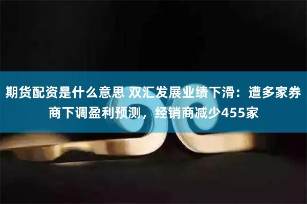期货配资是什么意思 双汇发展业绩下滑：遭多家券商下调盈利预测，经销商减少455家