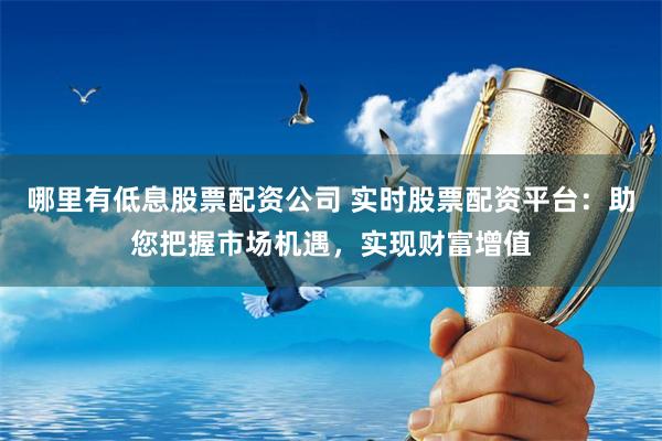 哪里有低息股票配资公司 实时股票配资平台：助您把握市场机遇，实现财富增值