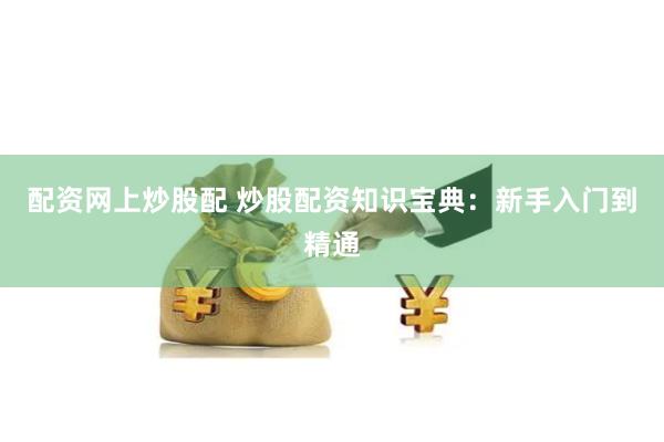 配资网上炒股配 炒股配资知识宝典:新手入门到精通