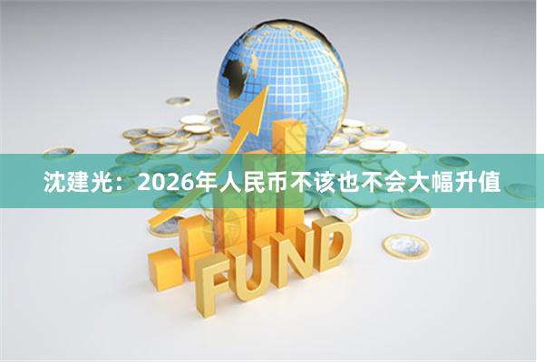 沈建光：2026年人民币不该也不会大幅升值