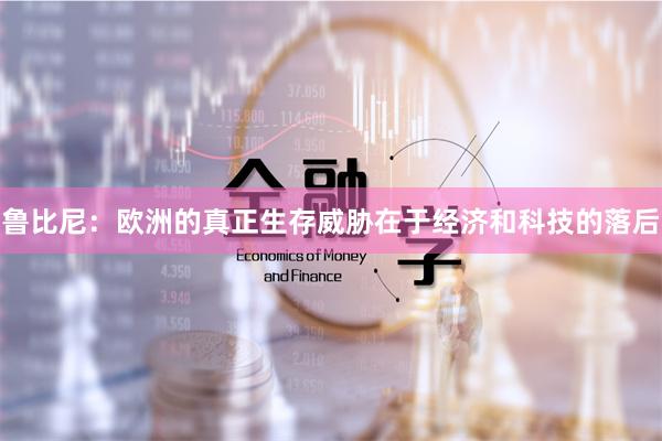 鲁比尼：欧洲的真正生存威胁在于经济和科技的落后