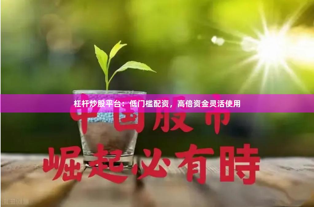 杠杆炒股平台：低门槛配资，高倍资金灵活使用